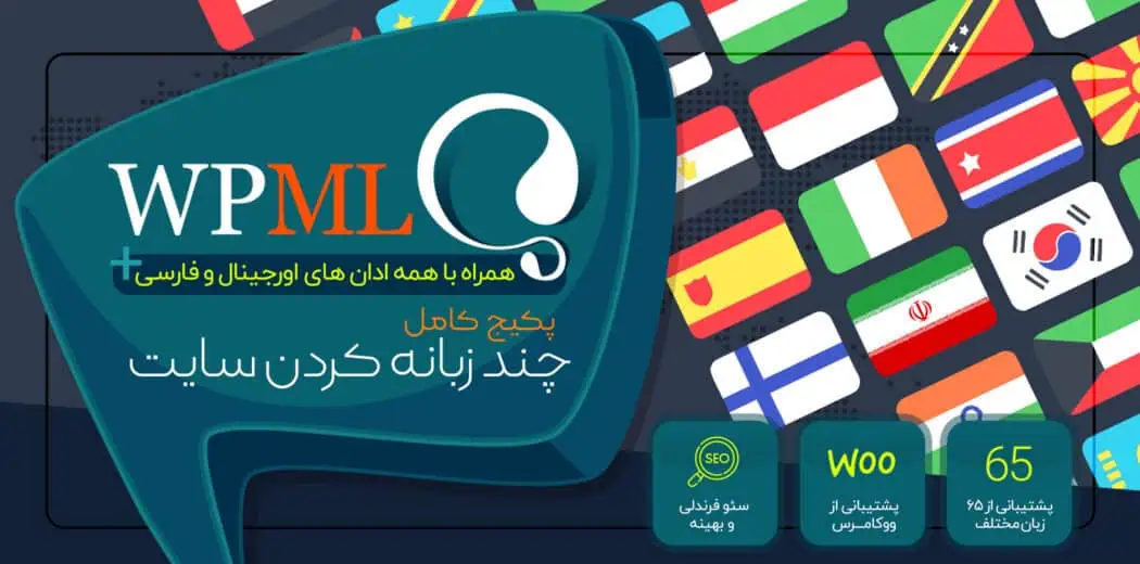 افزونه WPML