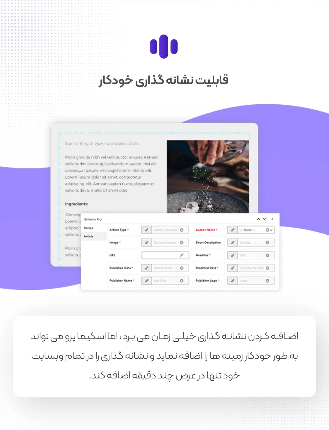 دانلود رایگان افزونه Schema Pro