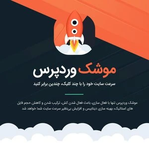 دانلود رایگان افزونه راکت 🚀 پلاگین افزایش سرعت WP ROCKET