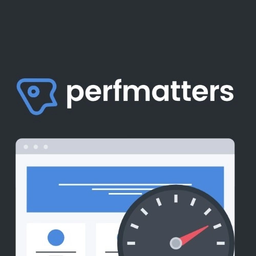 افزونه رایگان افزایش سرعت perfmatters | پلاگین perfmatters